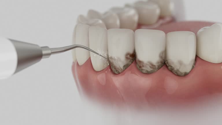 Reliable Dental contractor in East Camden, AR by Dentist Open Now